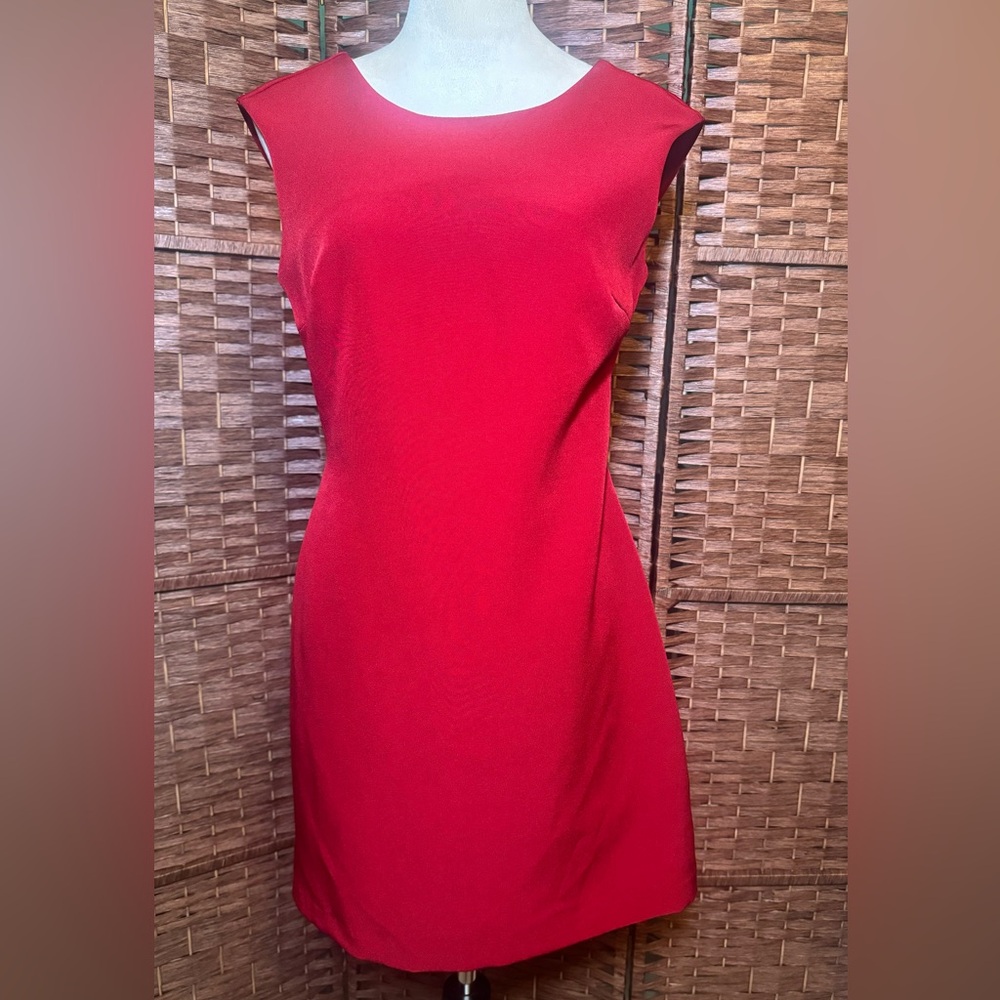 Zara Trafaluc collection Dress Medium Maroon Red Short Summer spring vacation